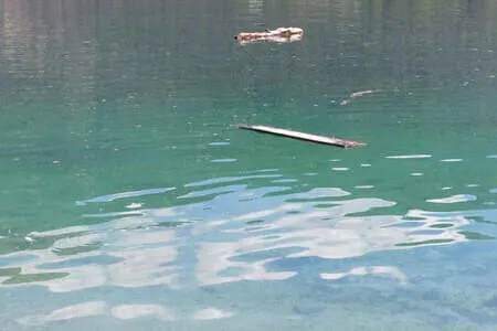 Achensee - Gaisalm 26.05.26 Bild 40