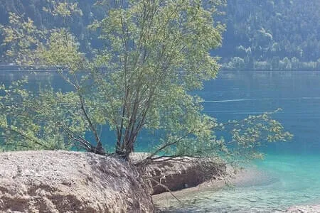 Achensee - Gaisalm 26.05.26 Bild 51