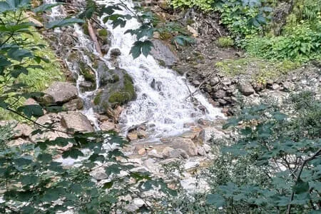 Kaprun PVÖ OG. St. Joh.& Kirchd.&Fieberbrunn 30.07.26 Bild 8