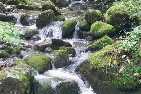 PVÖ Going-Wanderung-Heutal &Unken & Peitingköpfl Bild 23